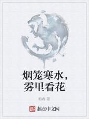 烟笼寒水月笼沙的下半句