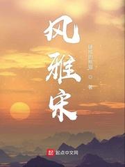 风雅宋指什么