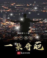 房产界的一朵奇葩epub