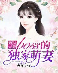 婚从天降boss的独家萌妻完整版