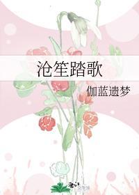 洛阳才子沧笙踏歌