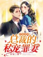 错嫁成婚总裁的私宠甜妻正版