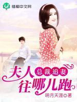 总裁追妻夫人休想逃 漫画