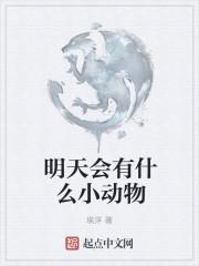 明天会到什么