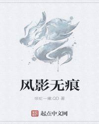 风影无痕是什么意思