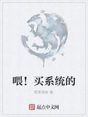 买什么系统