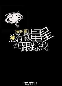 总有颗星星在跟踪我无错版