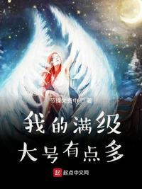 我的满级大号有点多epub