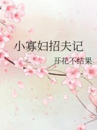 小寡妇招夫记 开花不结果无防盗