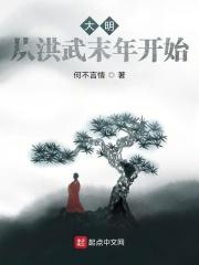 大明从洪武末年开始无防盗