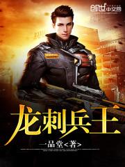 龙刺兵王完结版