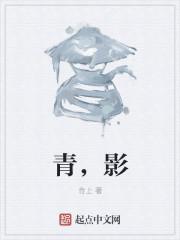 不过数武;附之骥尾