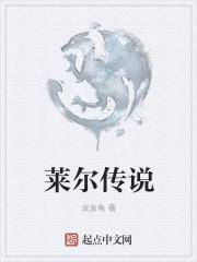 莱尔的身份