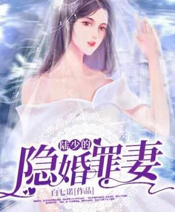 陆少的隐婚罪妻完整版