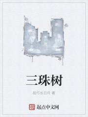 三珠树打一个数字