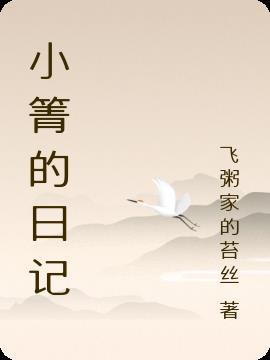 过年小日记