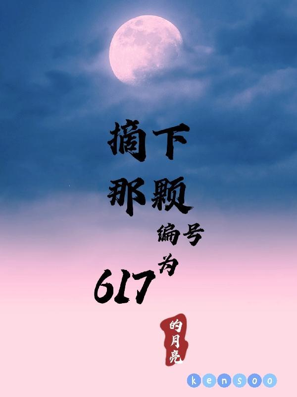 摘下那颗编号为617的月亮星星