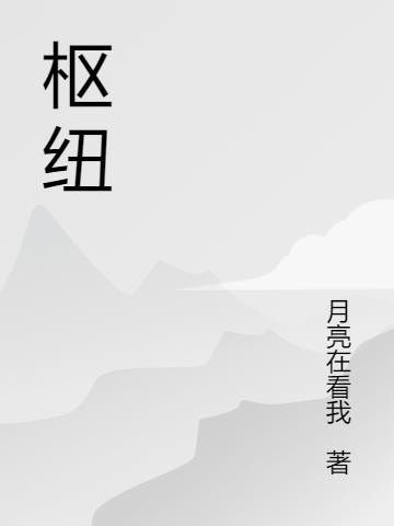 枢纽是什么意思