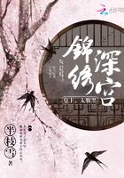 锦绣深宫未删减完整版