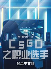 csgo之职业选手无错版