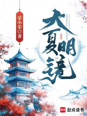 大夏明镜无防盗