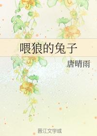 狼将军和他的兔子