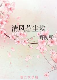 清风如尘是什么意思