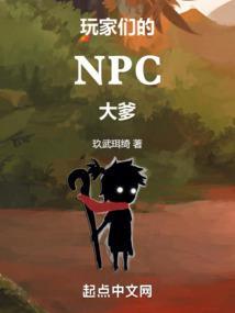 玩家 npc