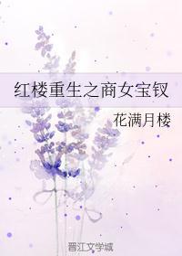 红楼重生之商女宝钗百度百科