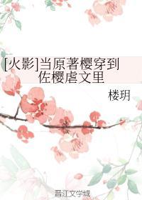 佐樱 穿越