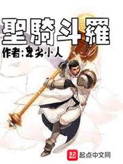 圣骑斗罗 第2章