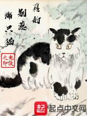 火枪未能击穿裤袜epub