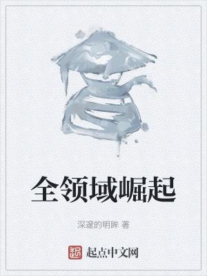 全领域是什么意思