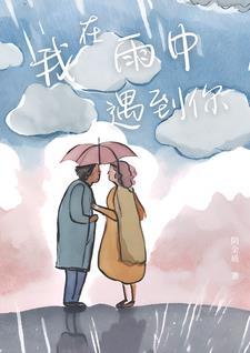 歌曲我在雨中遇见你