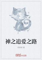 女将追爱之路