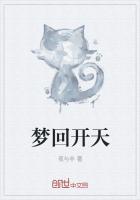 梦回天涯是什么歌歌词