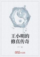 王小明全集