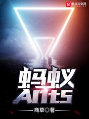 阿韬蚂蚁ANTS