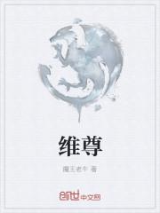 维尊镜片