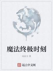 终极魔法师国语版