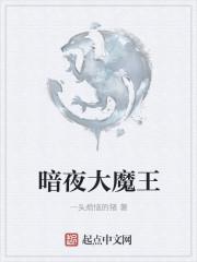 暗夜魔王怎么玩